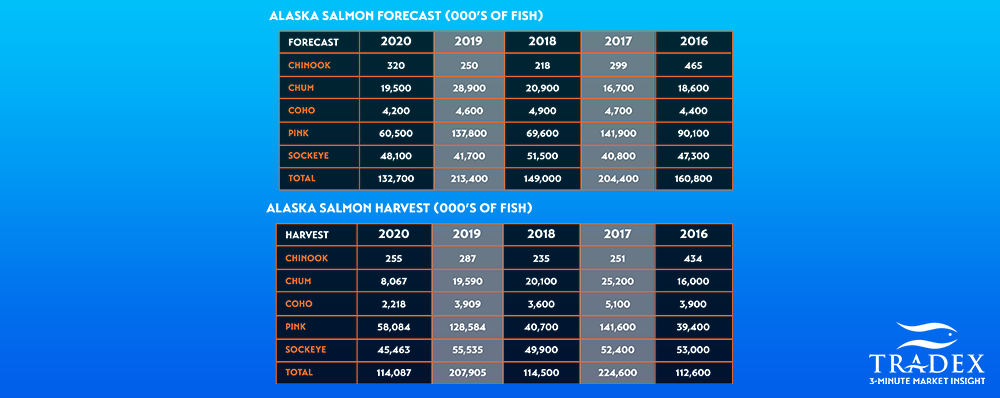 Alaska Sockeye harvest