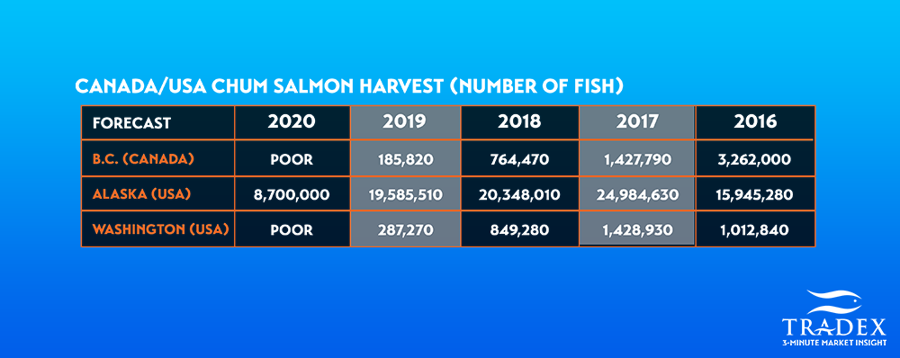 Alaska Sockeye harvest