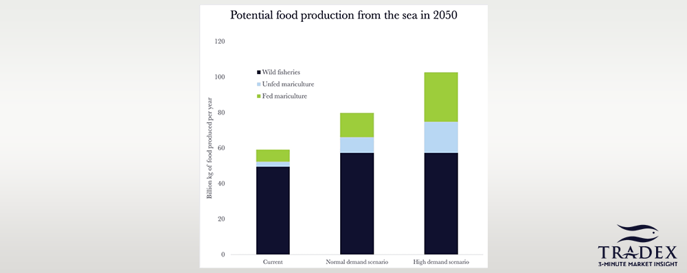 Ocean Food Supply Potential