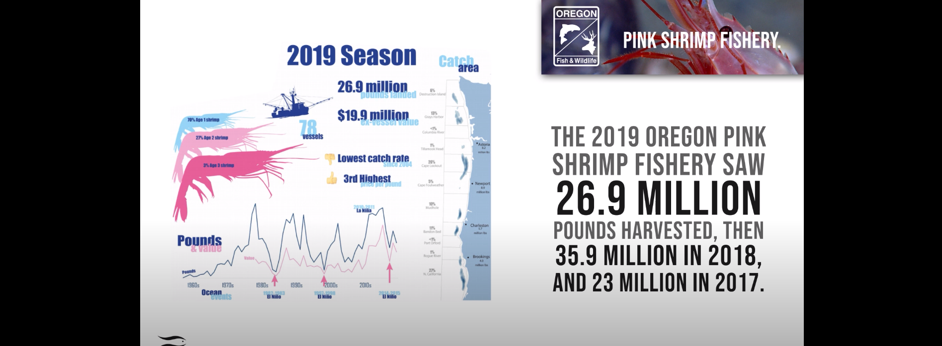 Shrimp Fishery Data