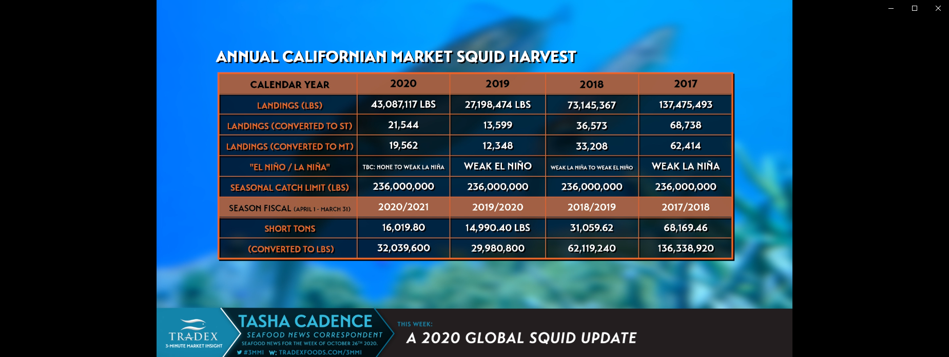 2020 Global Squid Harvest