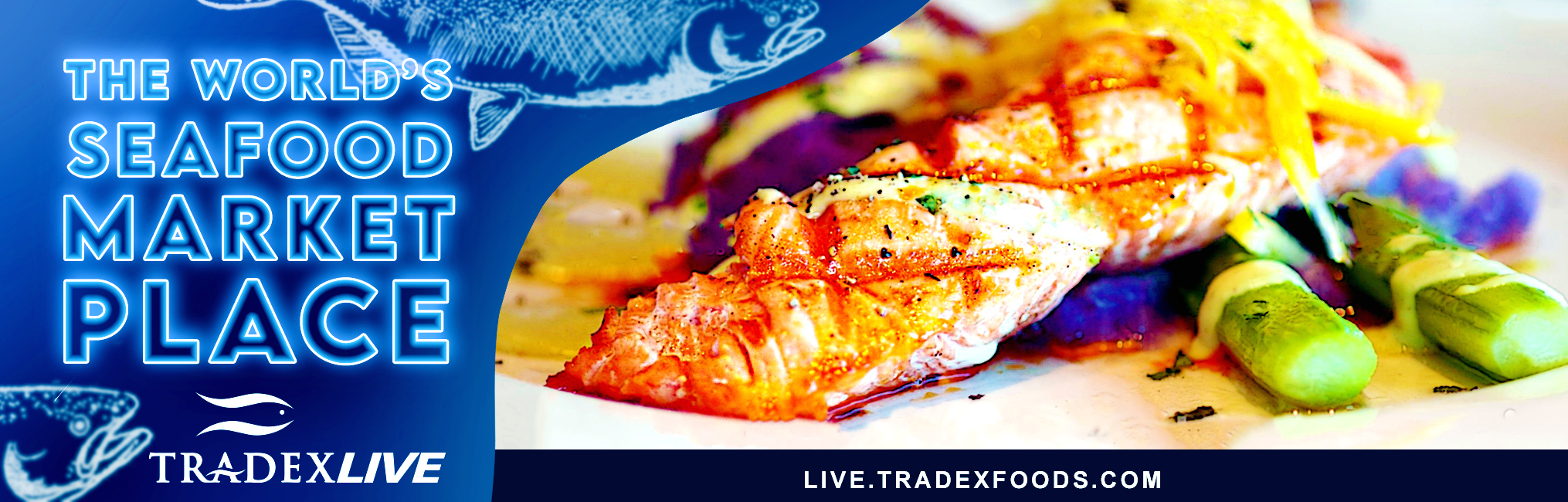 THE WORLD'S SEAFOOD MARKET PLACE - TRADEXLIVE