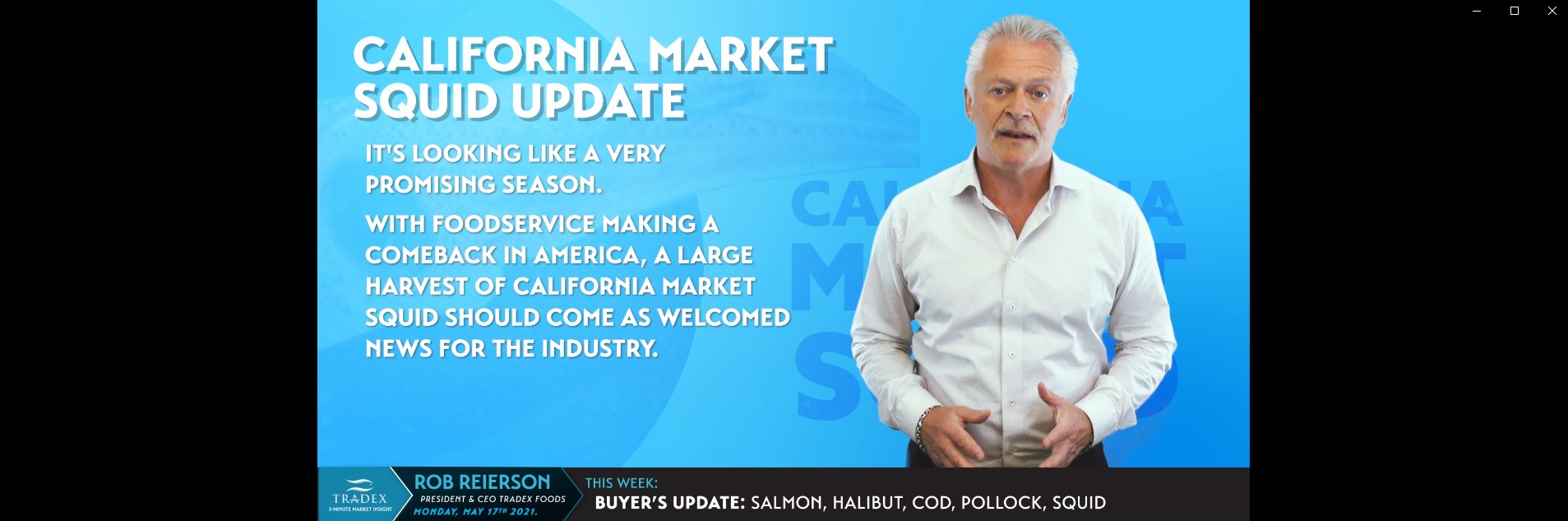 California Market Squid Update