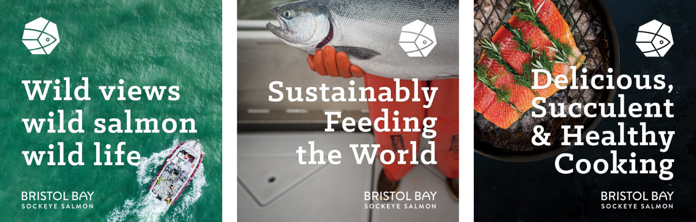BRISTOL BAY SOCKEYE SALMON BRISTOL BAY SOCKEYE SALMON