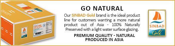 Top Of The Line BRAND SINBAD Platinum Banner