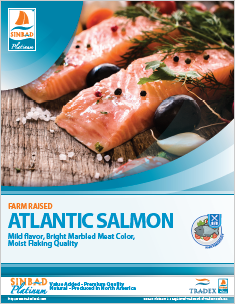 SINBAD Platinum Atlantic Salmon