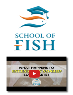 Tradex Foods School of Fish - Excessively Soaked Sole Fillets