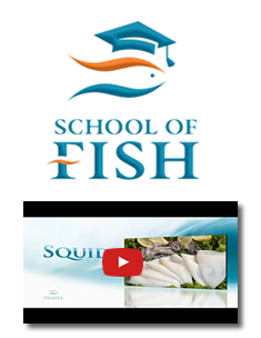 Tradex Foods School of Fish - Squid