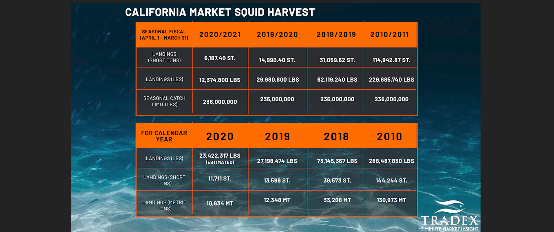 Current Market Squid Landings