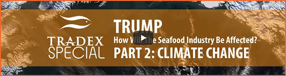 Climate Change: How Will Trump Affect the Seafood Industry? Trump : Seafood : Climate Change