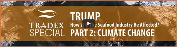Trump : Seafood : Climate Change