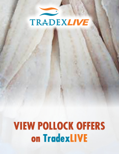 View our Pollock Offers on TradexLIVE Alaska & Russia Pollock