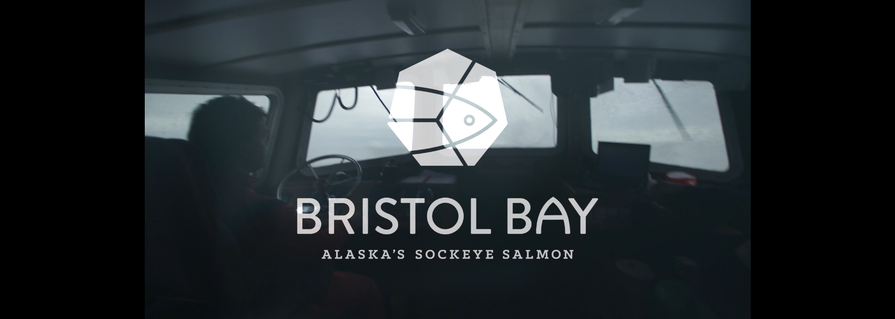 Bristol Bay Sockeye Salmon