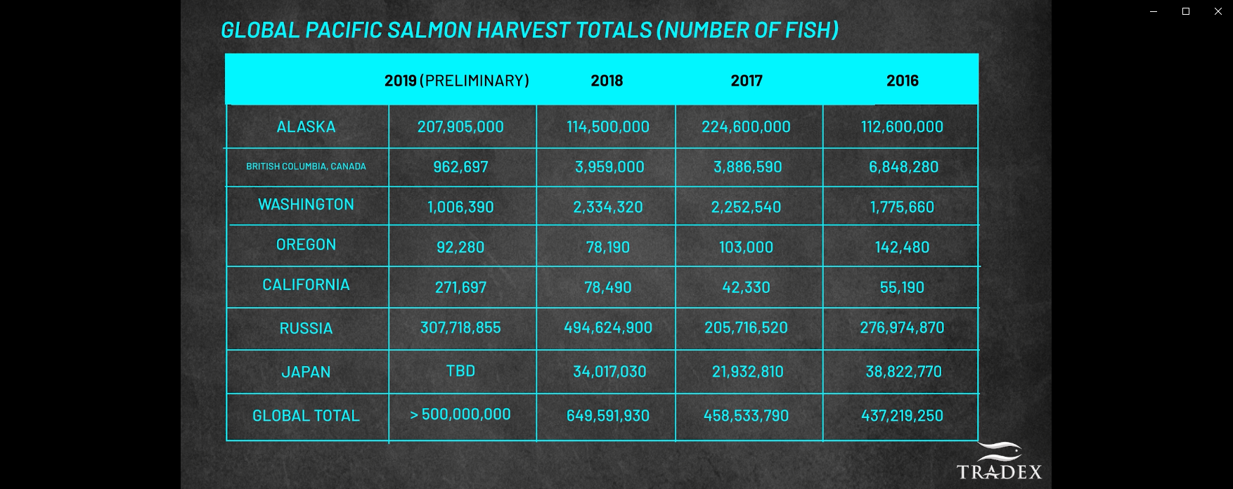 Global Slamon Catch predictions