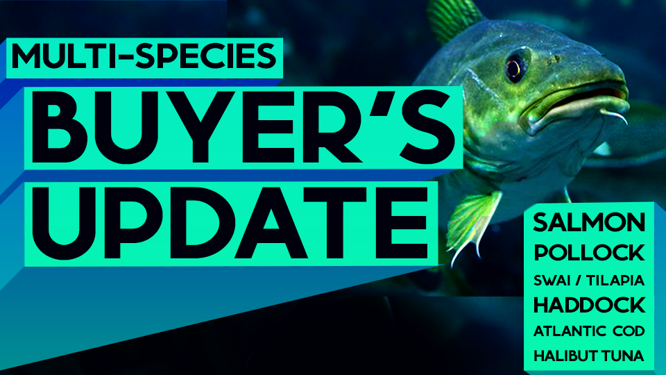 3MMI Multispecies Buyer's Update Salmon, Pollock, Swai, Tilapia, Haddock, Atlantic Cod