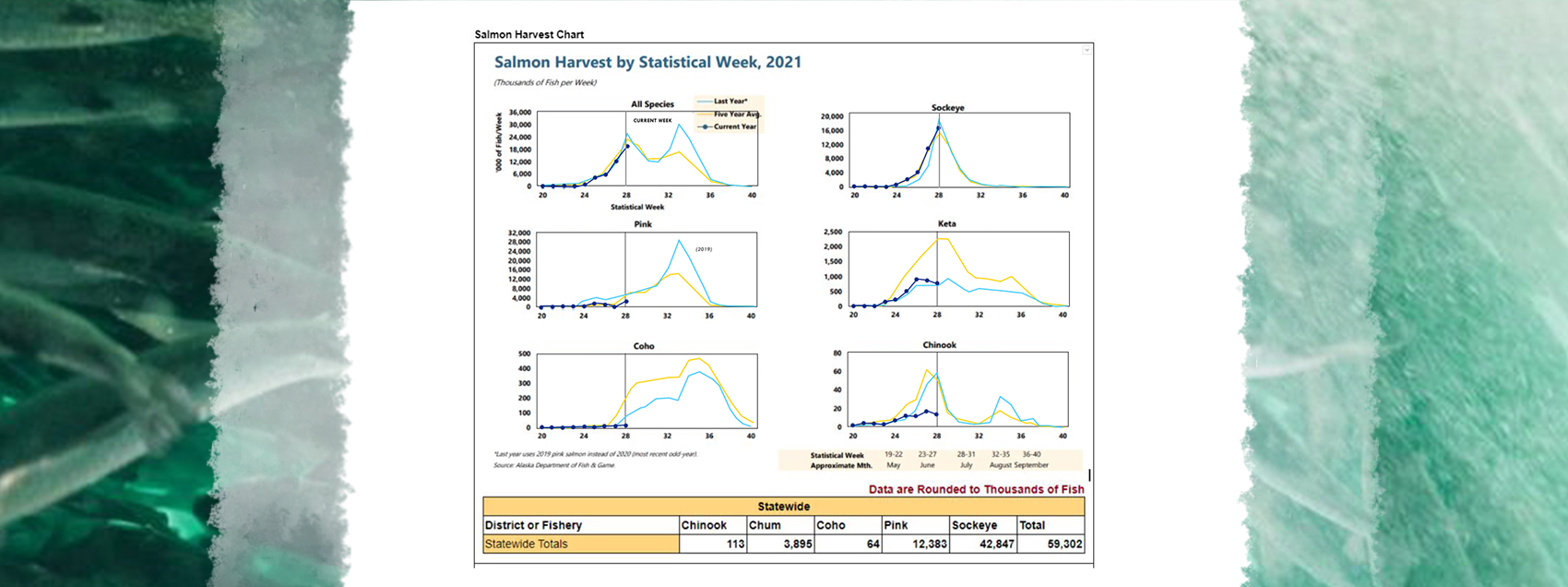 Salmon Harvest Statistical Week 2021