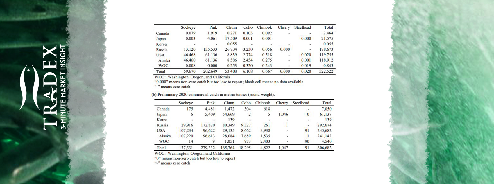 Sockeye and Chum Stats