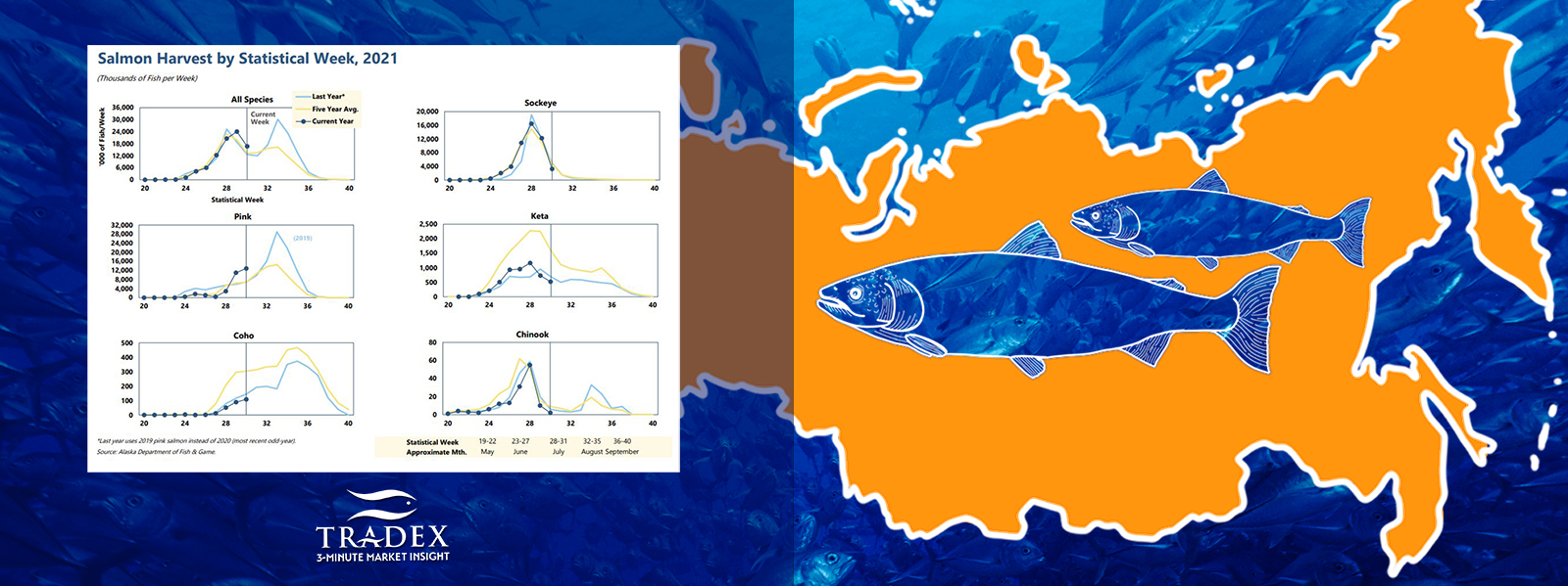 Sockeye and Chum Stats