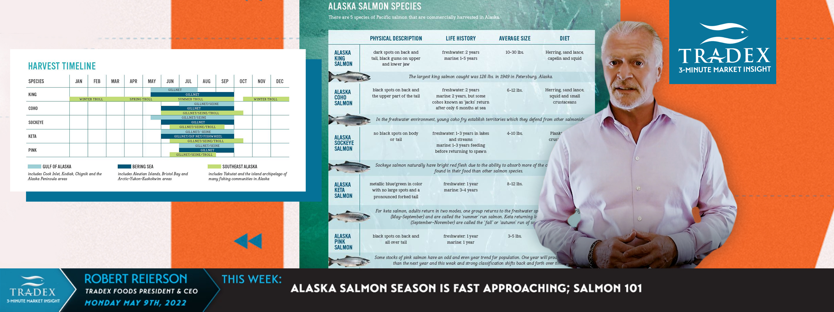ALASKA SALMON 101 ALASKA SALMON 101