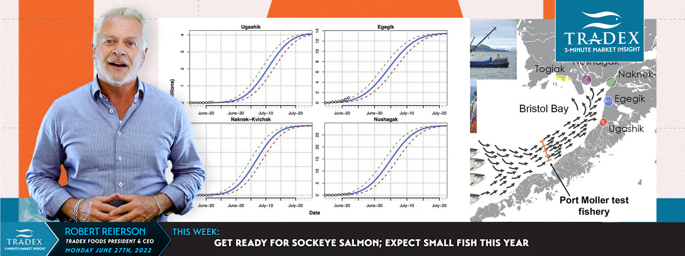 Get Ready for Sockeye Salmon; Expect Small Fish This Year Get Ready for Sockeye Salmon; Expect Small Fish This Year
