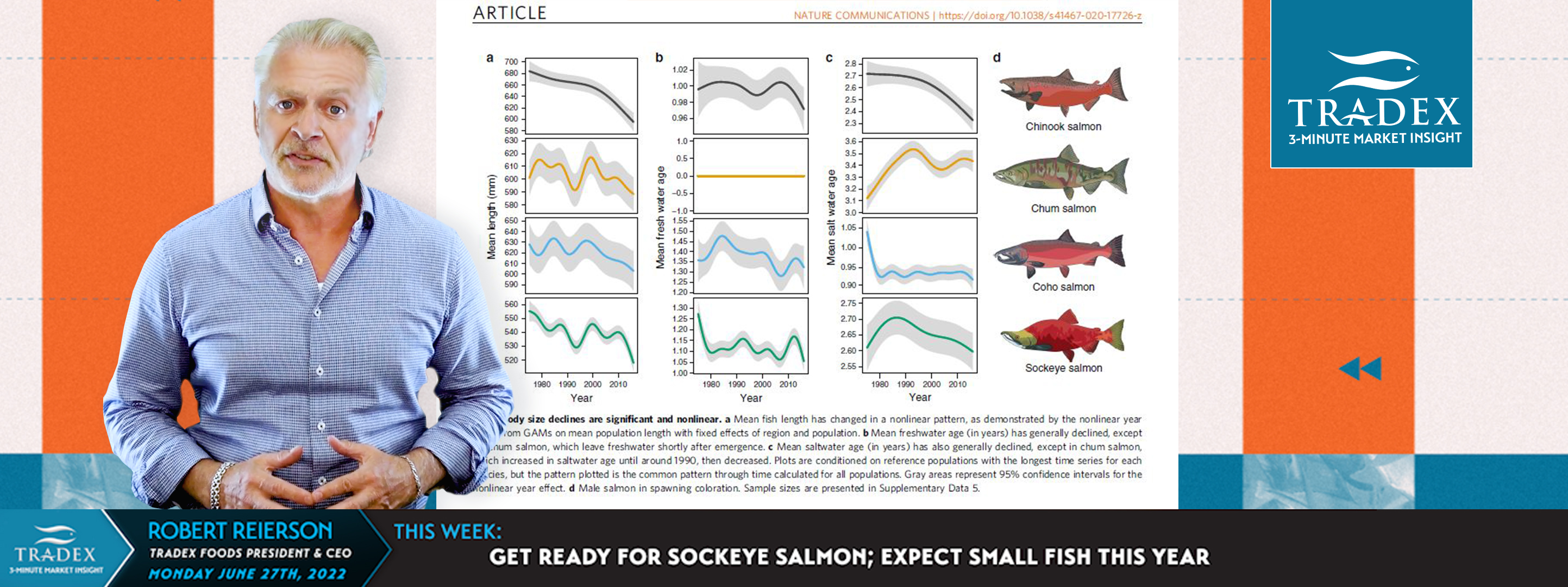 Get Ready for Sockeye Salmon; Expect Small Fish This Year Get Ready for Sockeye Salmon; Expect Small Fish This Year