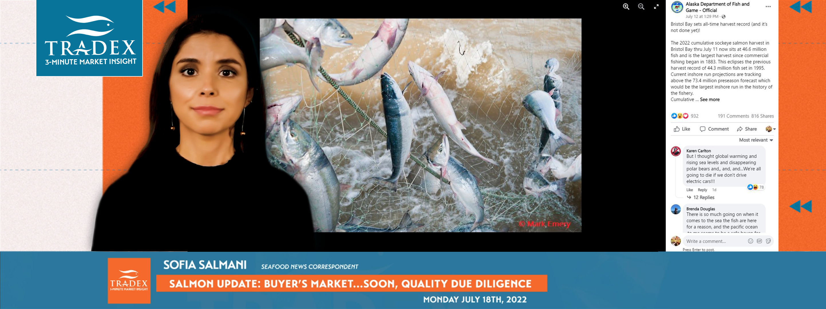 Sockeye Buyer's Update