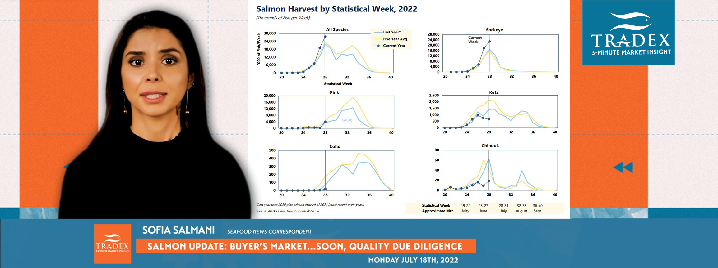 Sockeye Buyer's Update