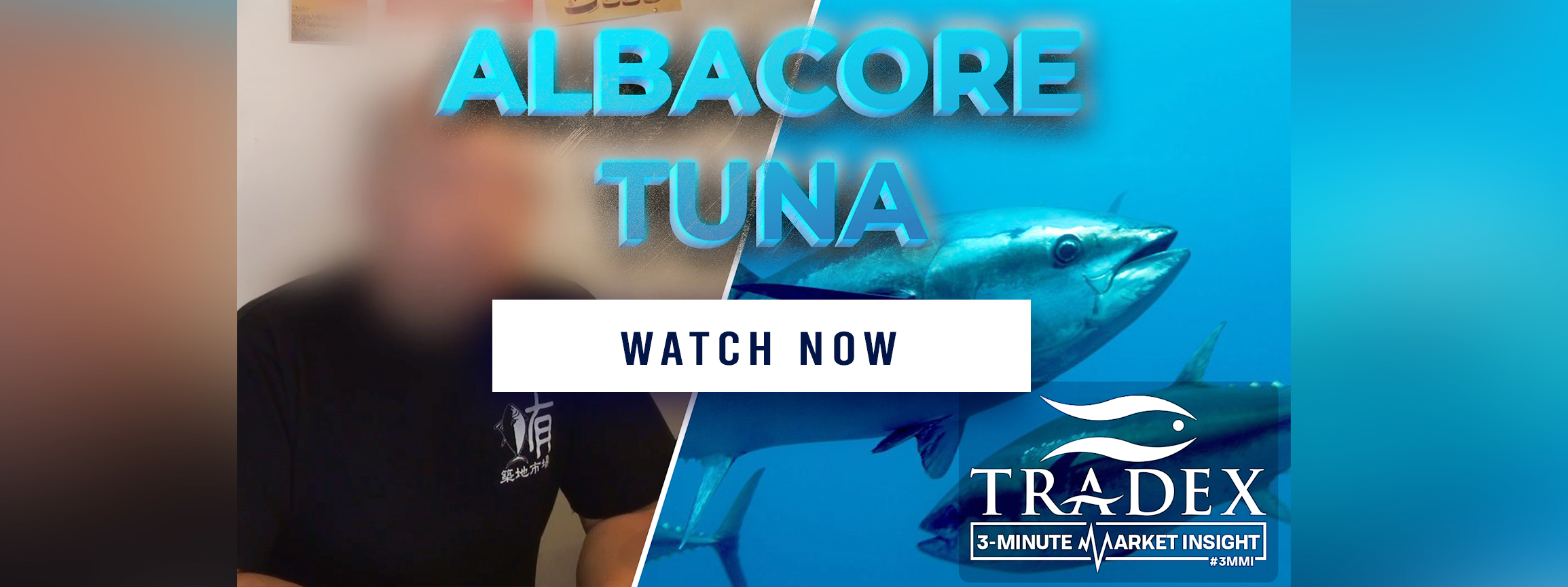 Albacore Tuna - Watch Now!