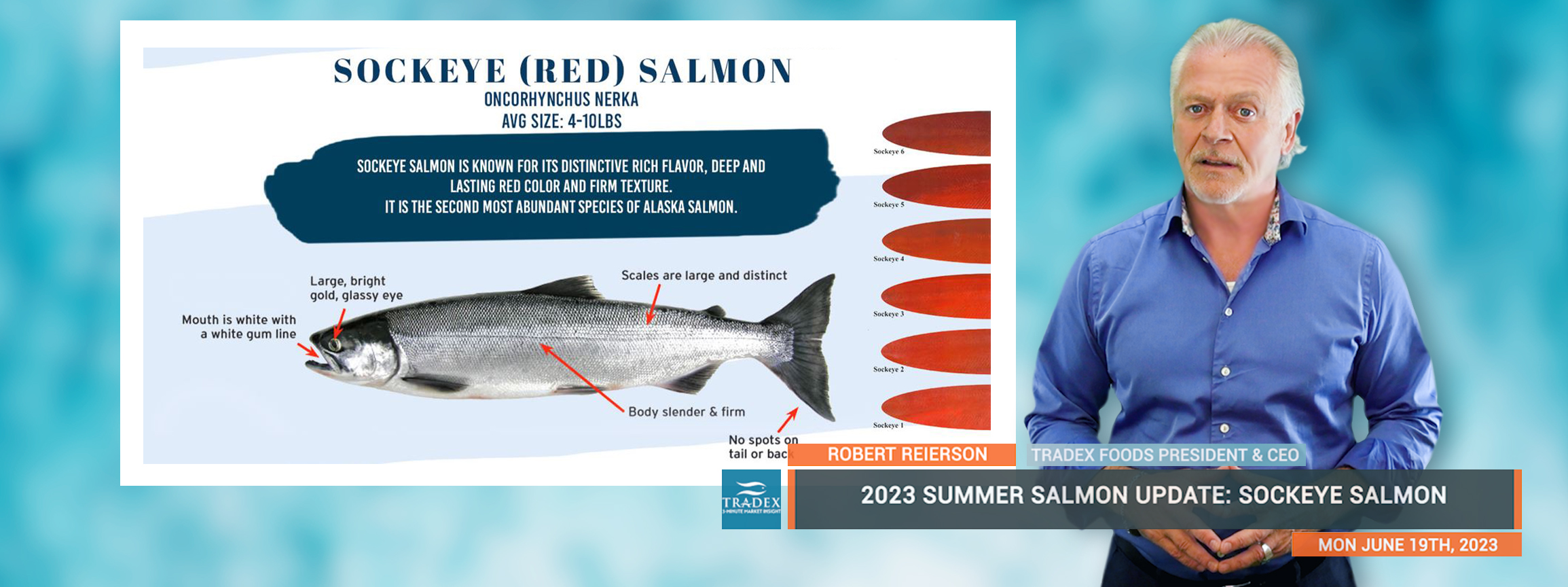 2023 SUMMER SALMON UPDATE: SOCKEYE SALMON