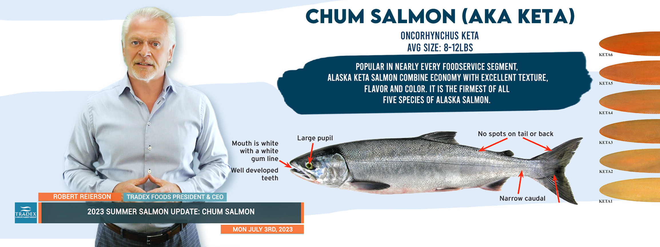 CHUM SALMON (AKA KETA) UPDATE