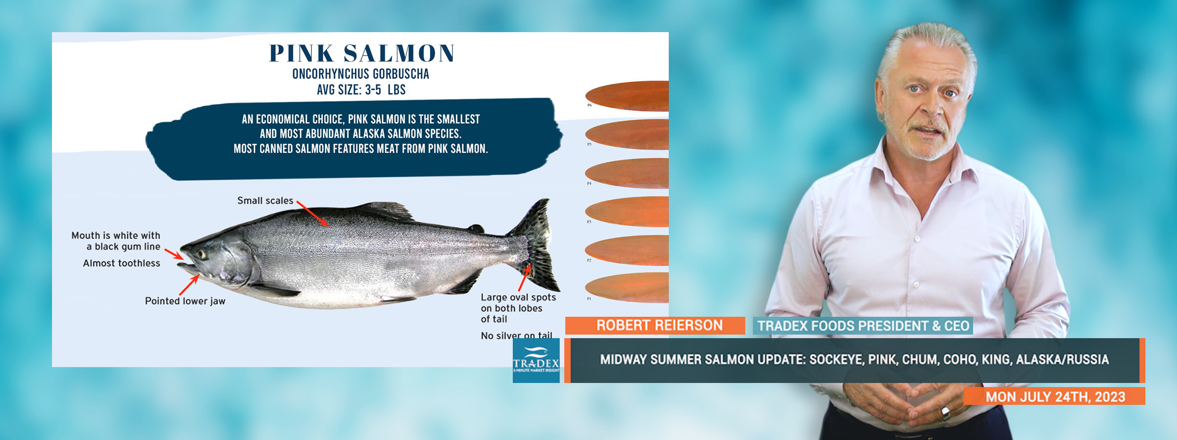 Midway Summer Salmon Update