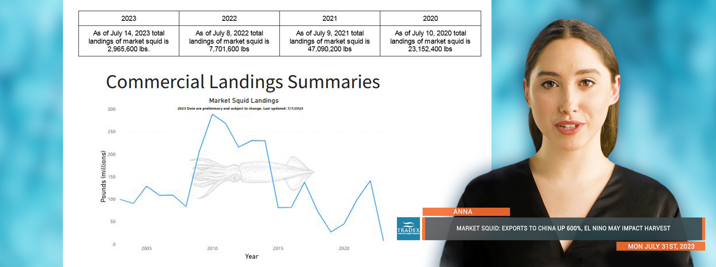 Market Squid Update: Exports to China up 600%, El Nino May Impact Harvest