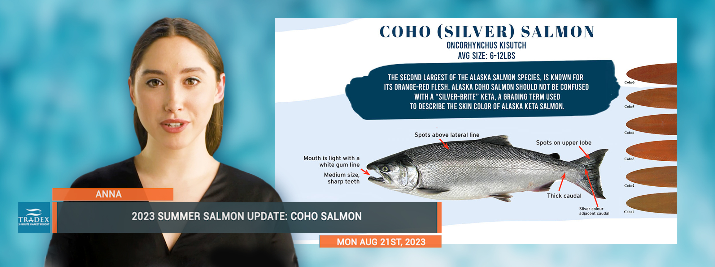 Coho Salmon Specs