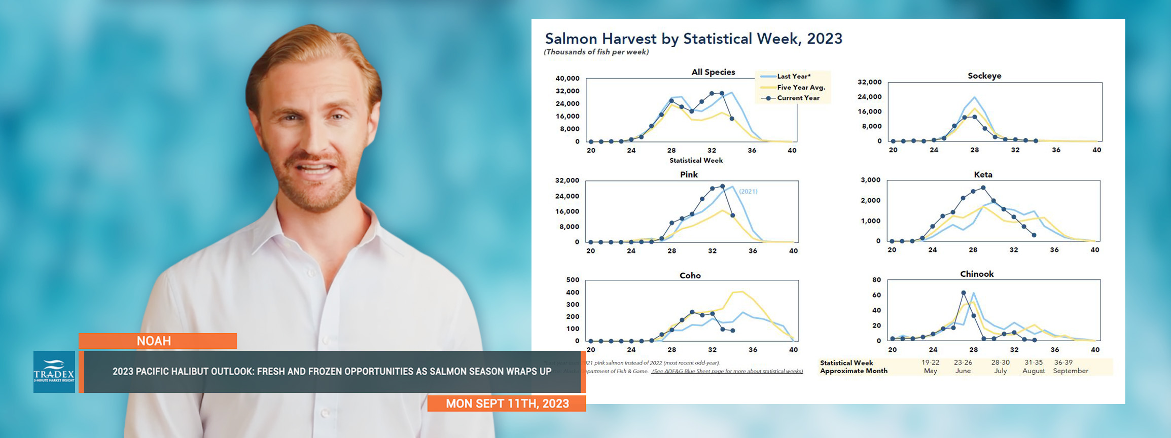 Halibut Update