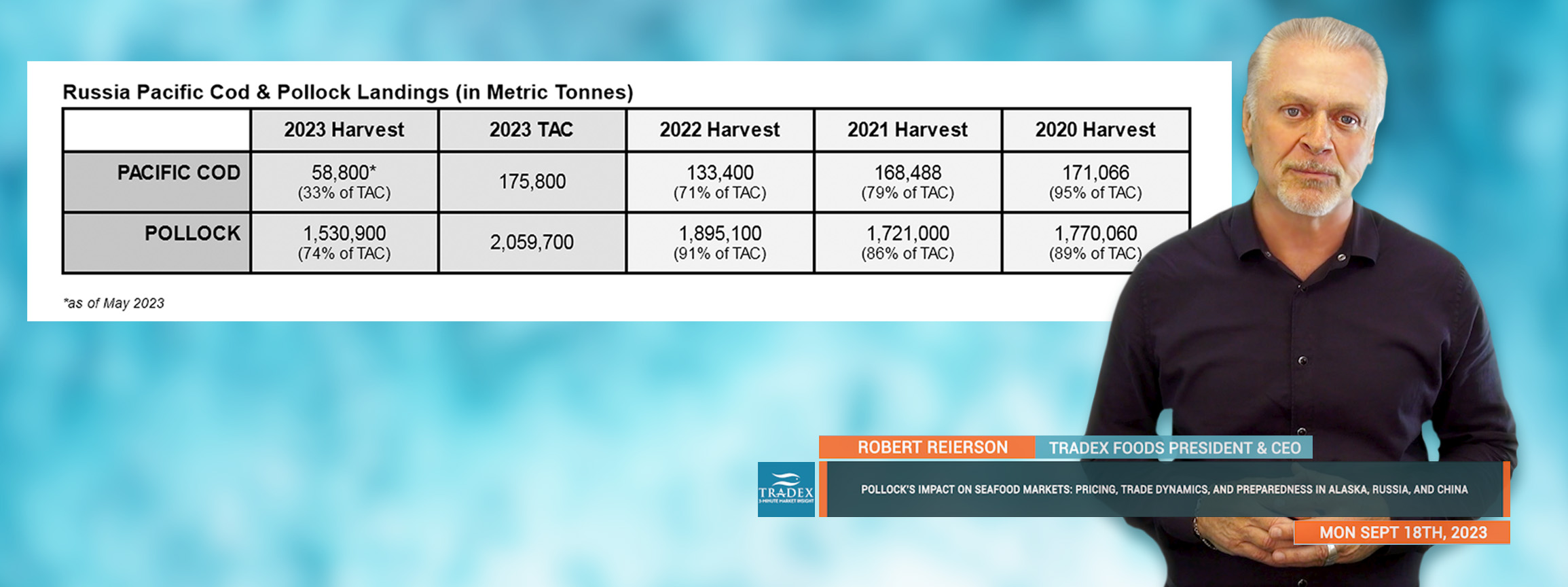 Pollock Market Update: Demand, Pricing, Trade Dynamics for Alaska, Russia, China Pollock Market Update: Demand, Pricing, Trade Dynamics for Alaska, Russia, China