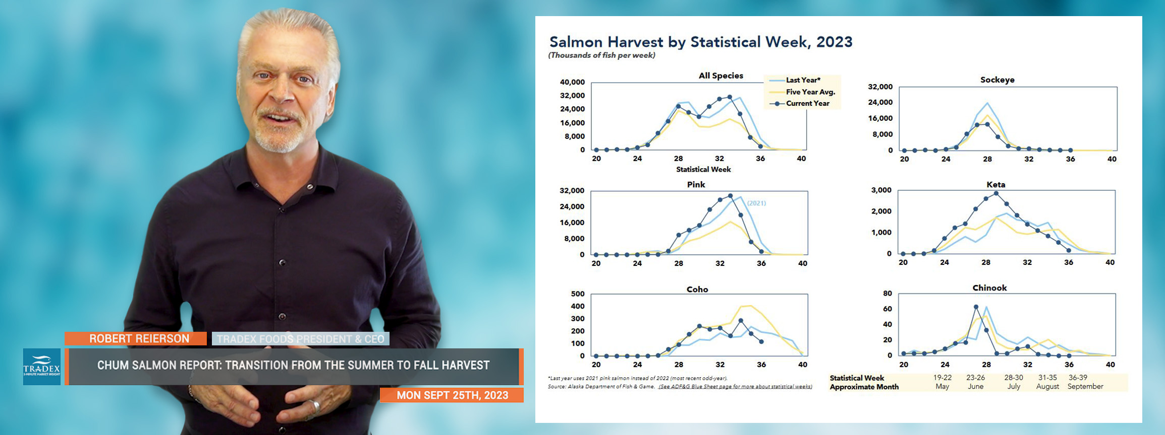 Fall Chum Salmon Outlook, Summer Chum Salmon Recap