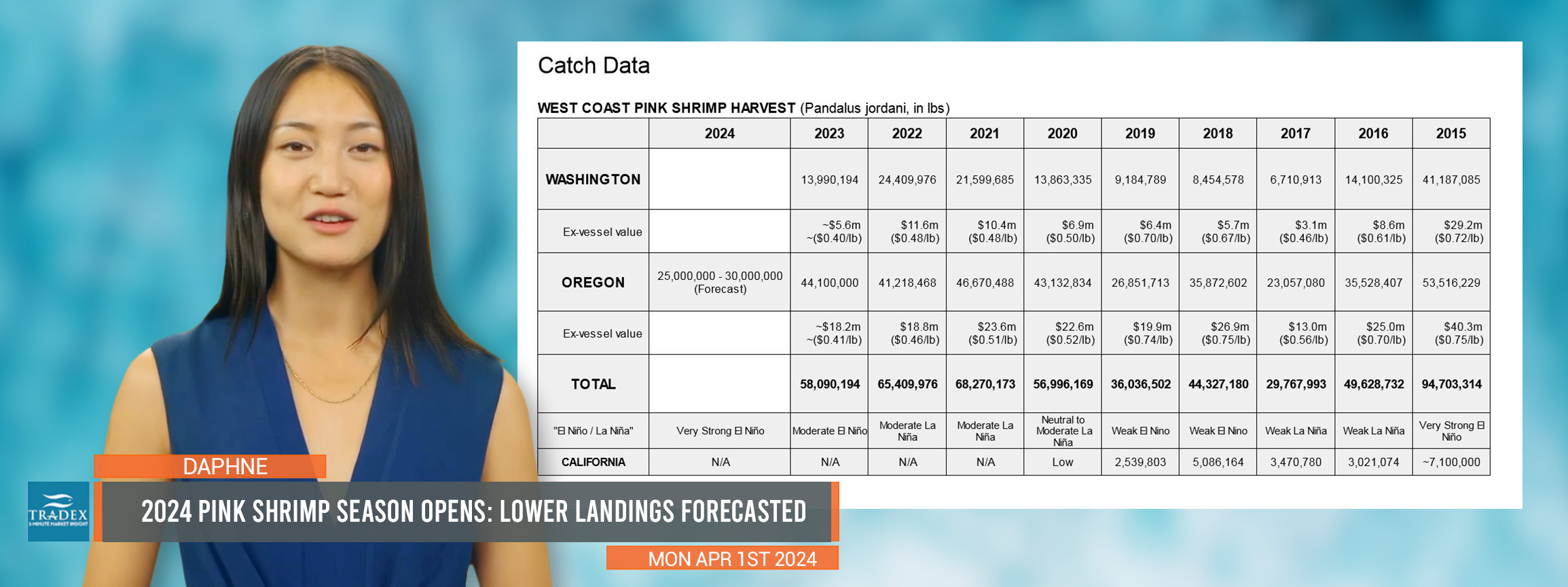 Pink Shrimp Season Opens: Lower Landings Forecasted could Lead to Upward Price