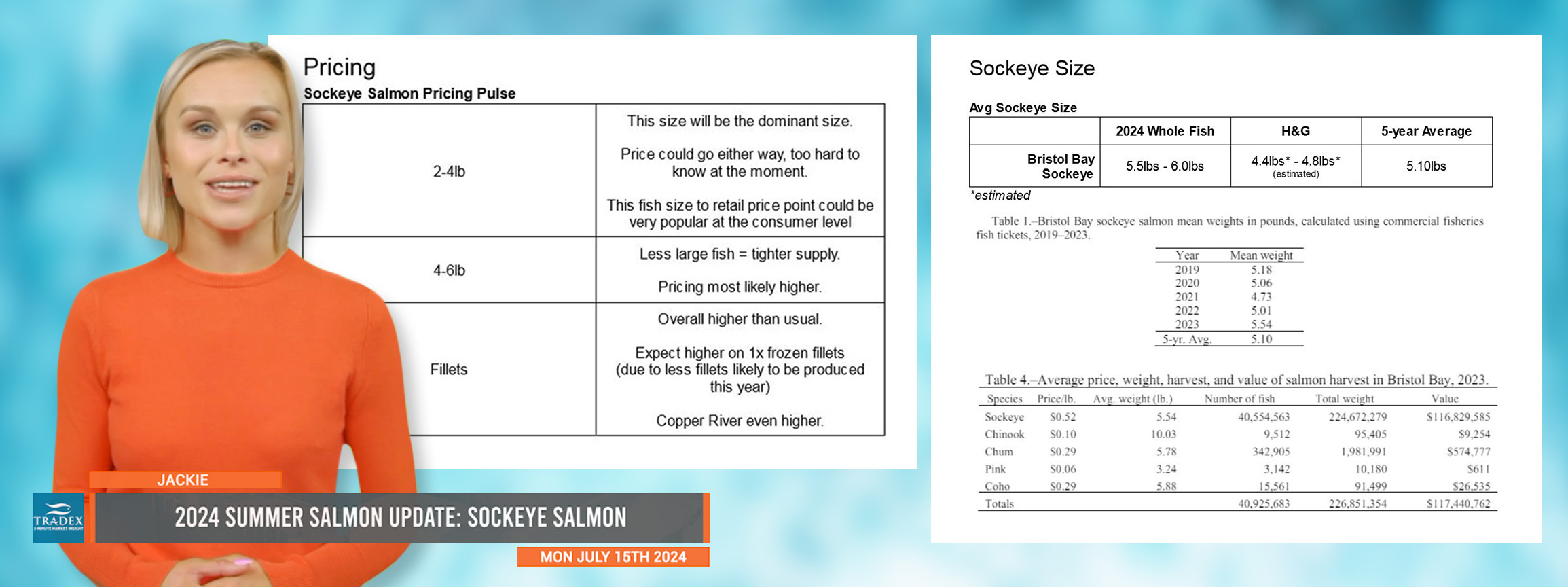 2024 Summer Salmon Update: SOCKEYE 2024 Summer Salmon Update: SOCKEYE