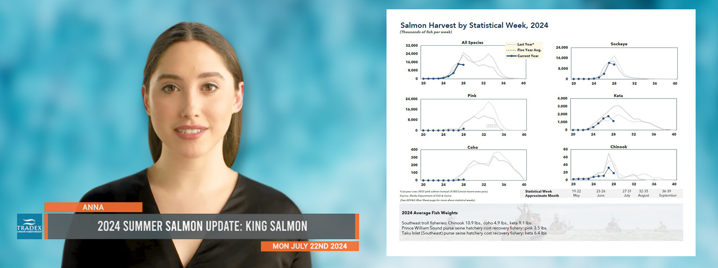 2024 Summer Salmon Update: KING 2024 Summer Salmon Update: KING