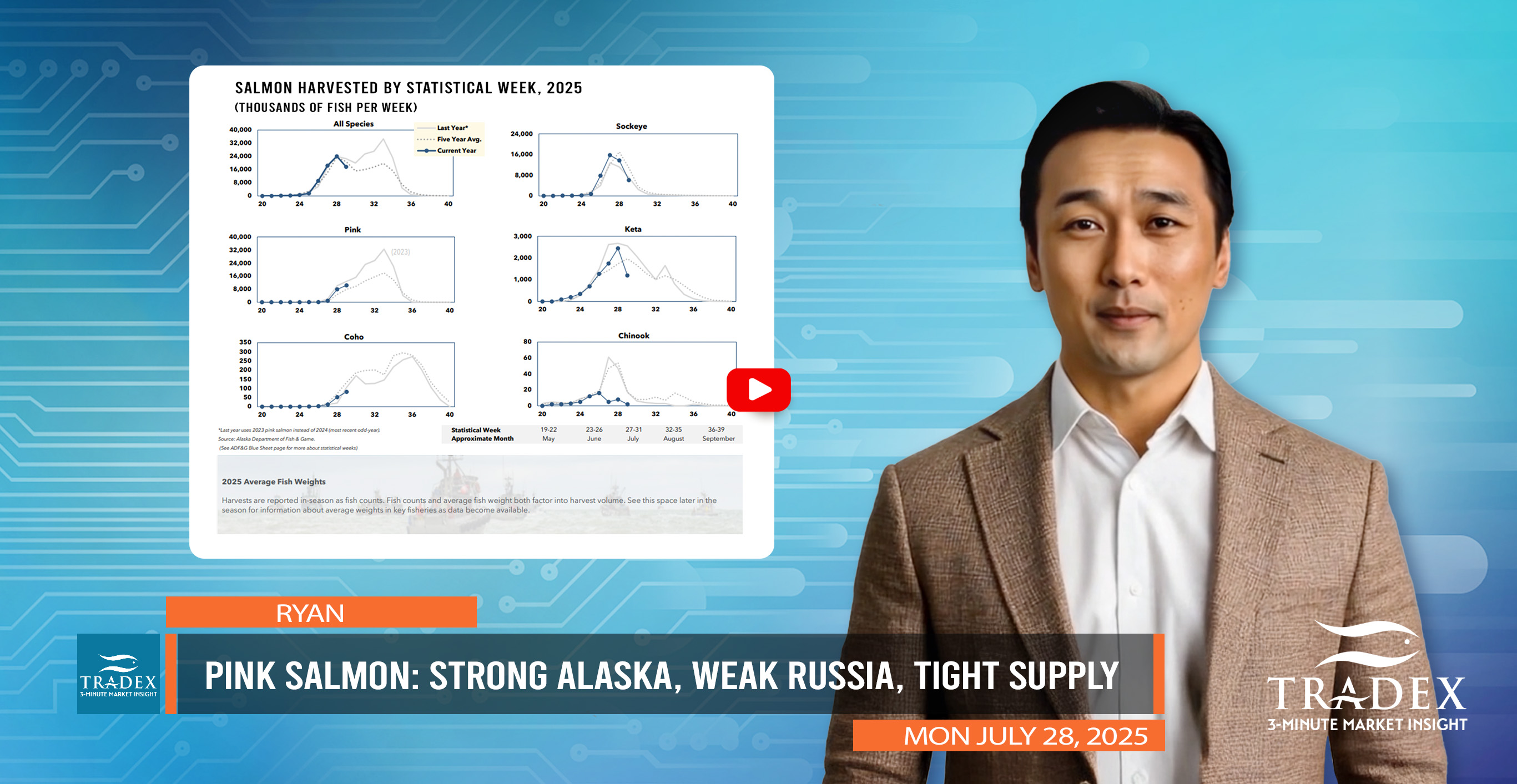 2025 Summer Pink Salmon Update