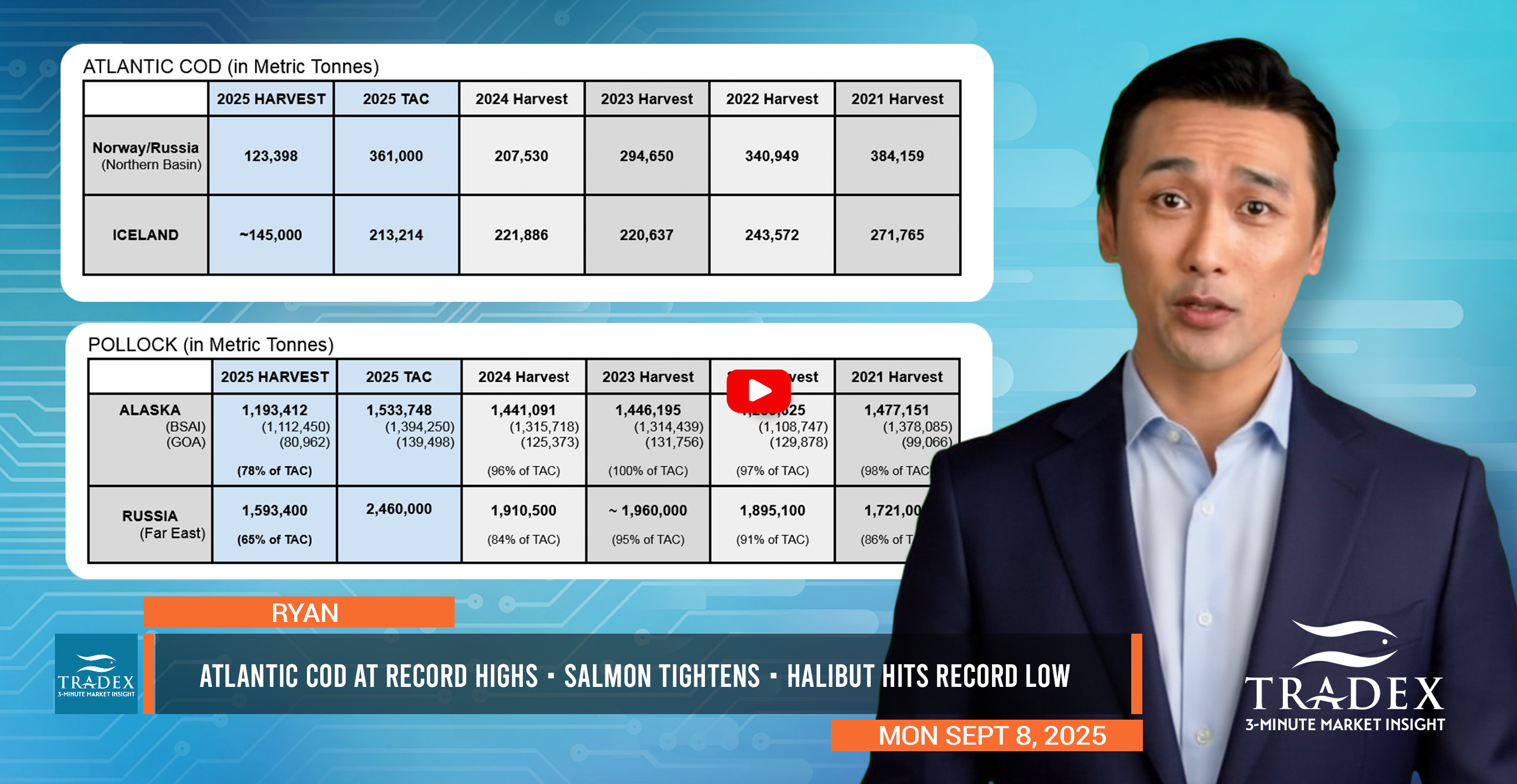 Q4 Market Tightness: Salmon, Cod, Pollock, Haddock, Halibut