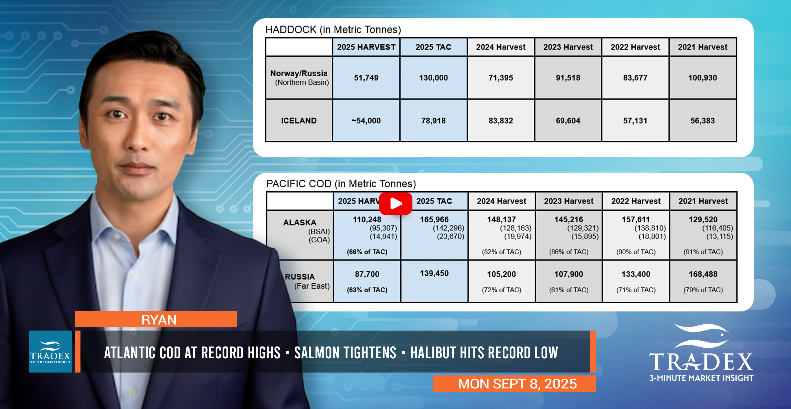 Q4 Market Tightness: Salmon, Cod, Pollock, Haddock, Halibut