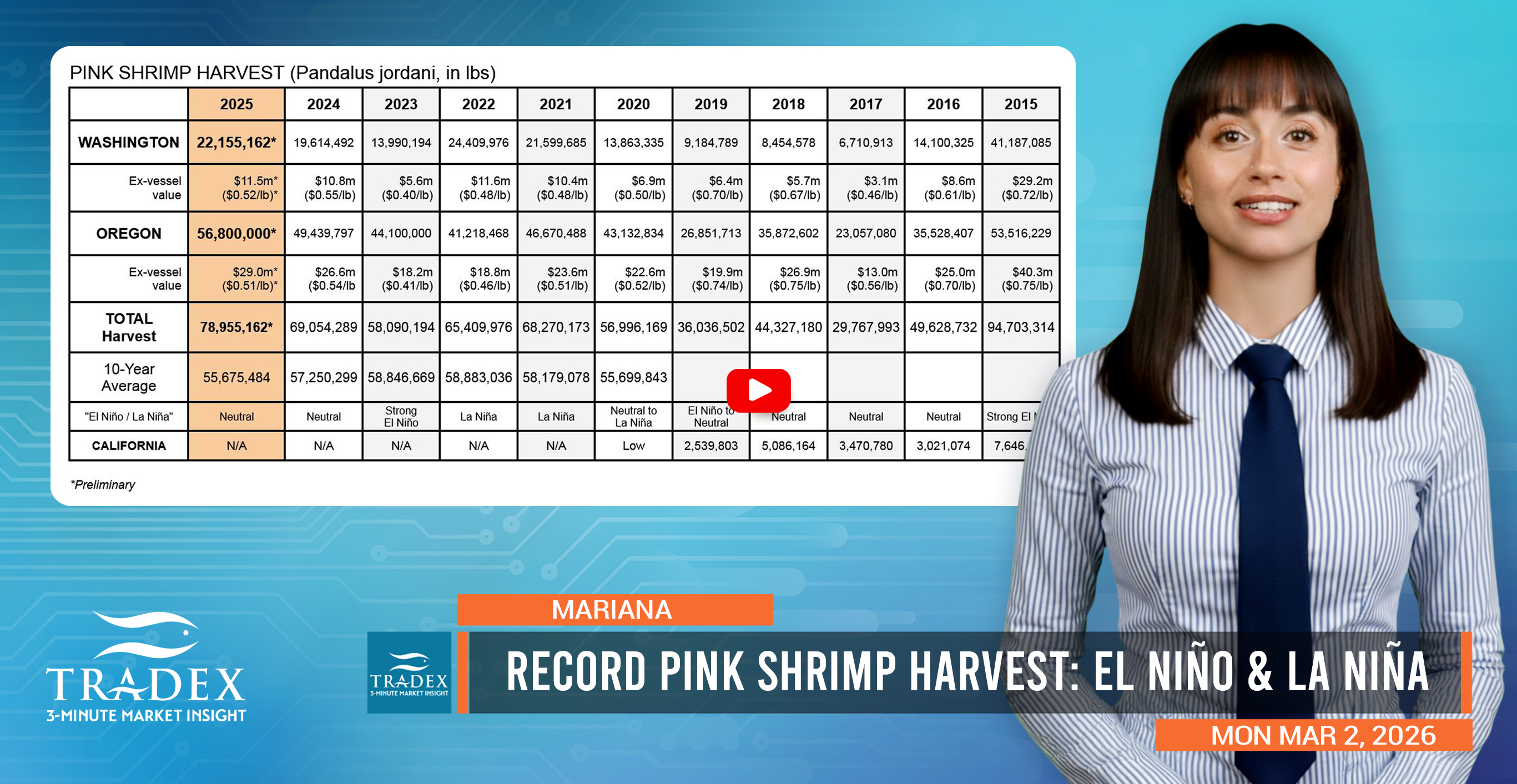Record Pink Shrimp Harvest