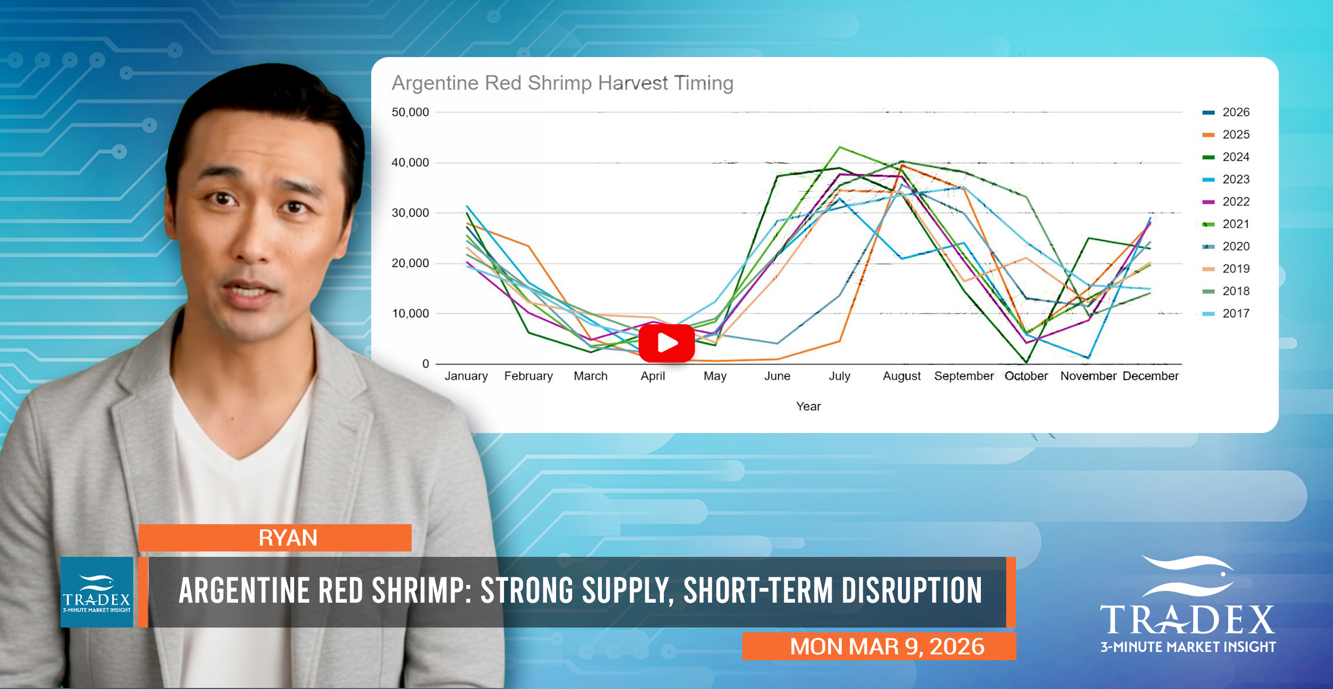 Argentine Red Shrimp: Strong Supply, Short-Term Disruption