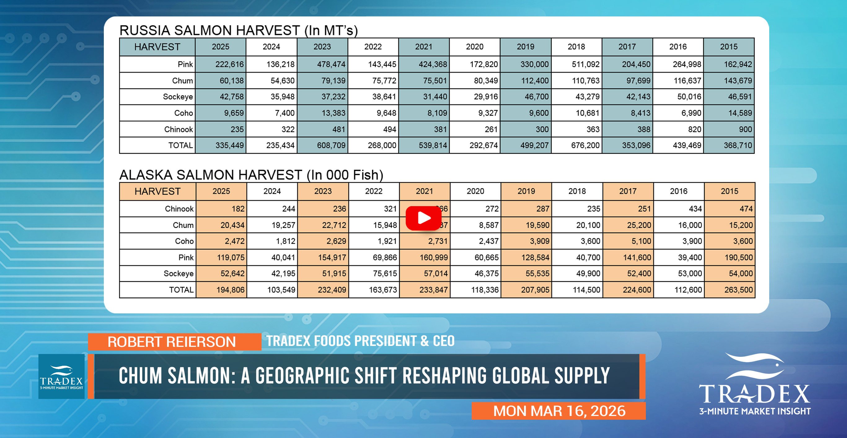 Chum Salmon: A Geographic Shift Reshaping Global Supply