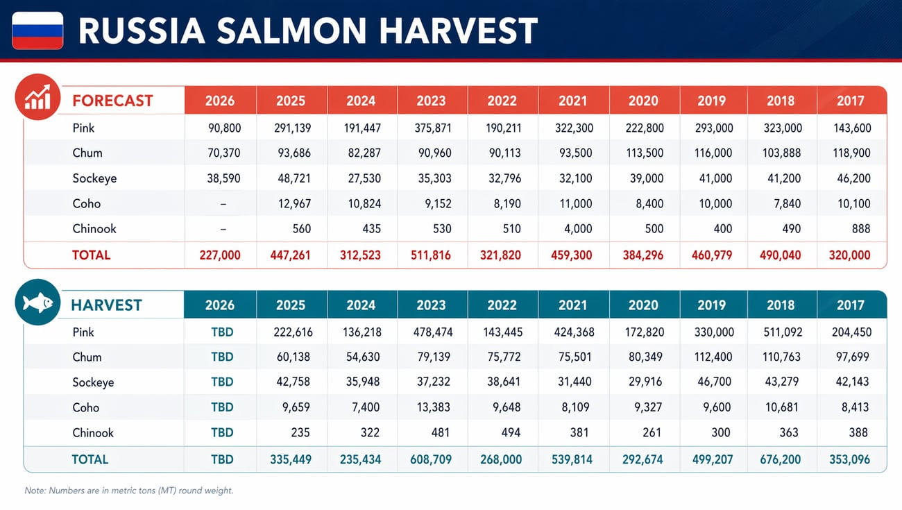 Russia Salmon Harvest