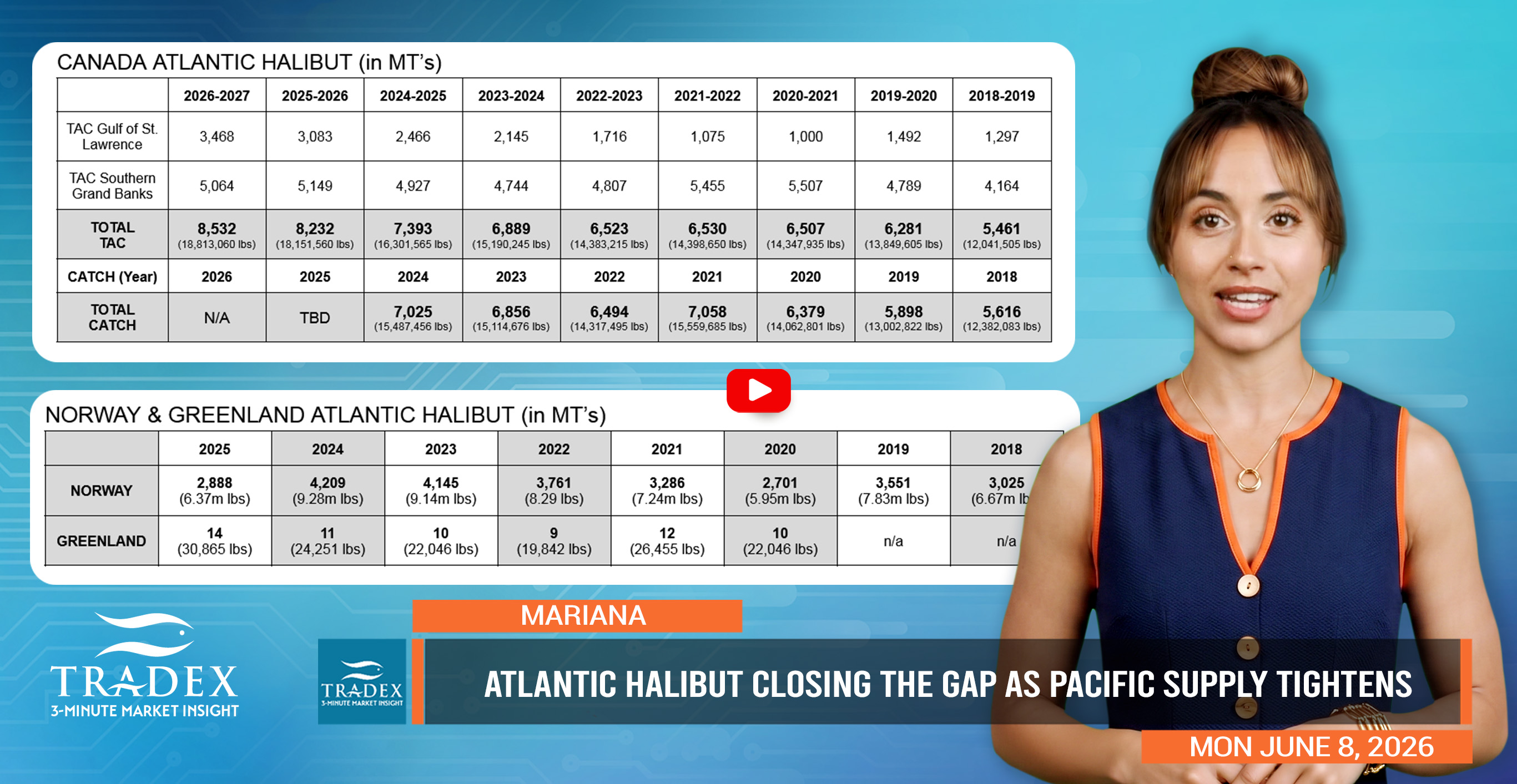 Atlantic Halibut Closing the Gap as Pacific Supply Tightens