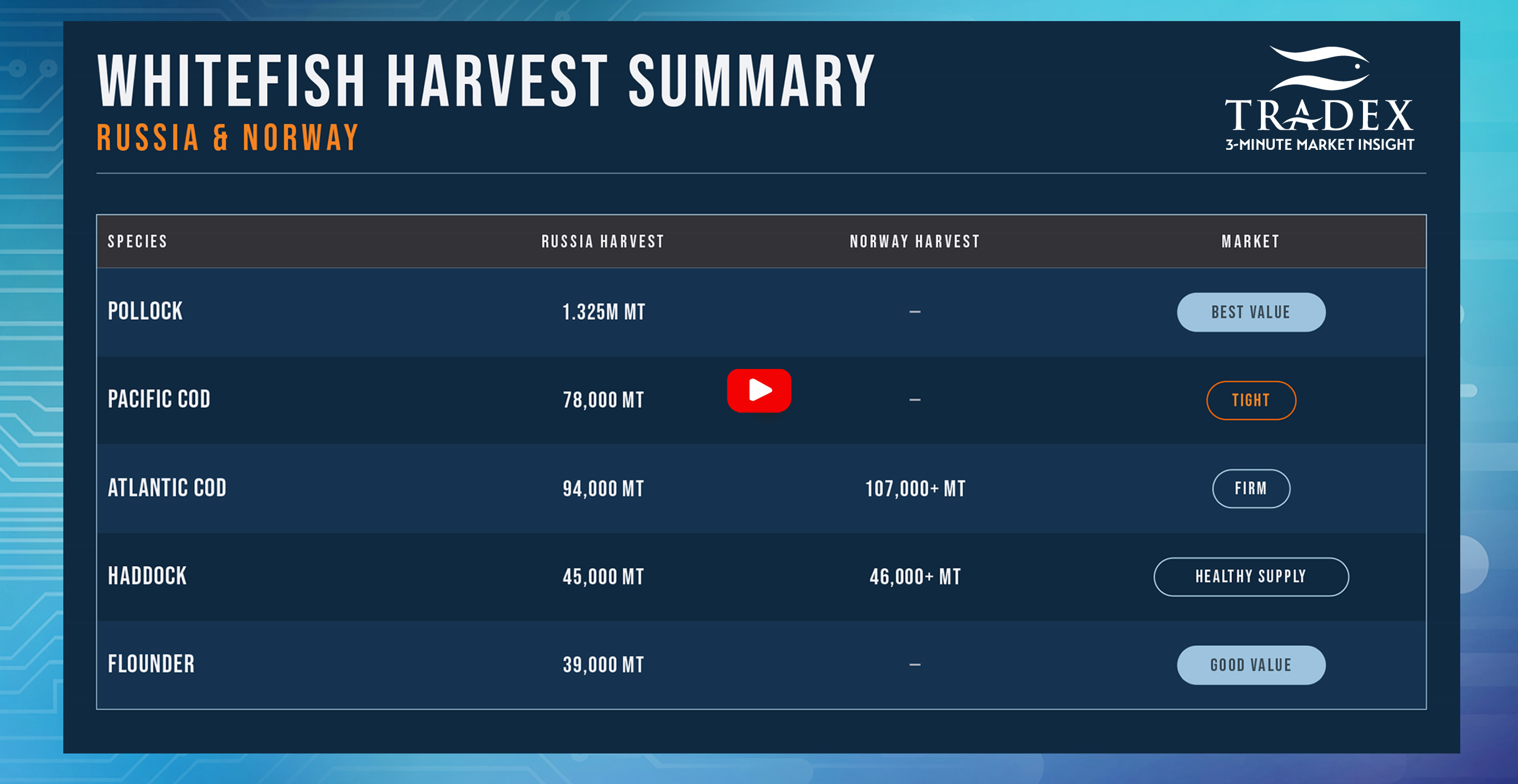 Q3 2026 Global Seafood Outlook Q3 2026 Global Seafood Outlook
