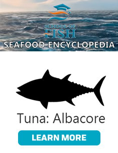 Seafood Encyclopedia - Albacore Tuna