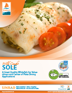 View our SINBAD Sole Sellsheet SINBAD Sole